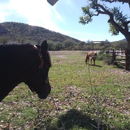 Bed and Breakfast Rancho Santa Cruz Tubac Экстерьер фото